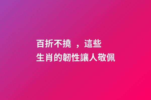 百折不撓，這些生肖的韌性讓人敬佩